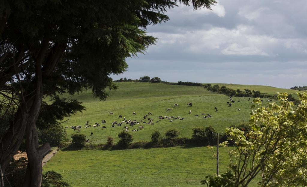Ard Na Greine Bed & Breakfast Clonakilty Dış mekan fotoğraf